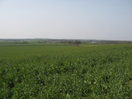 View nr Chilmington Green